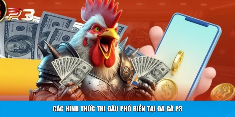 Các hình thức thi đấu phổ biến tại đá gà P3