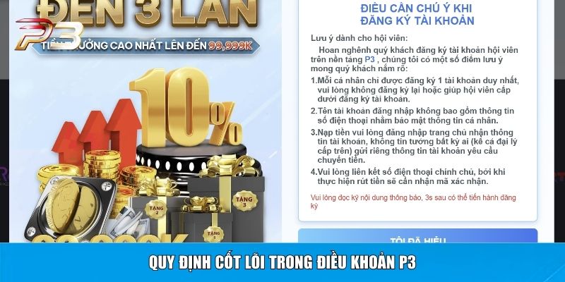 Quy định cốt lõi trong điều khoản P3