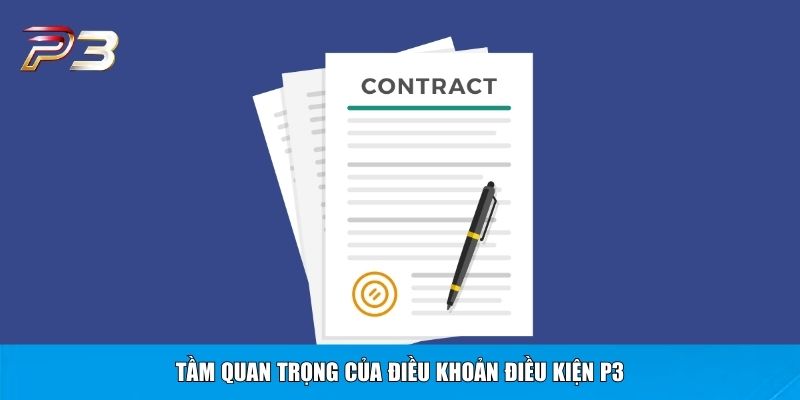 Tầm quan trọng của điều khoản điều kiện P3